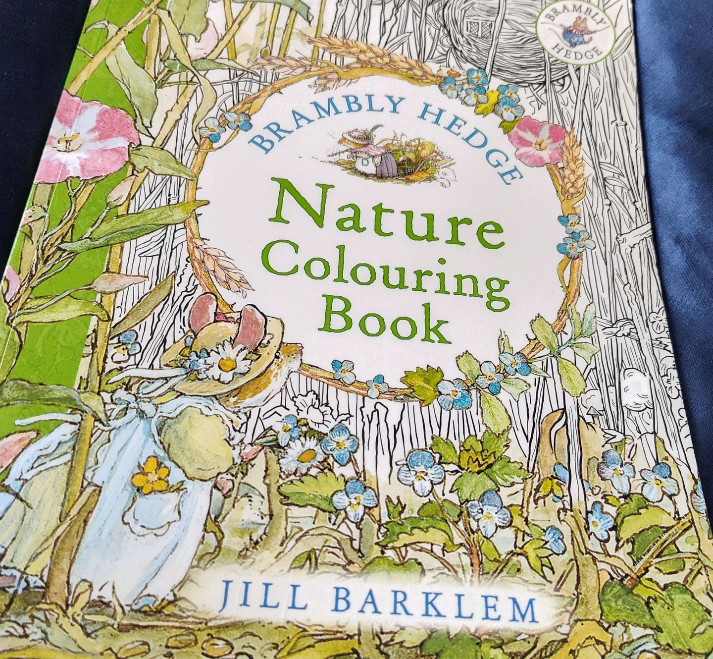 Brambly Hedge Nature Colouring Book 🌱
