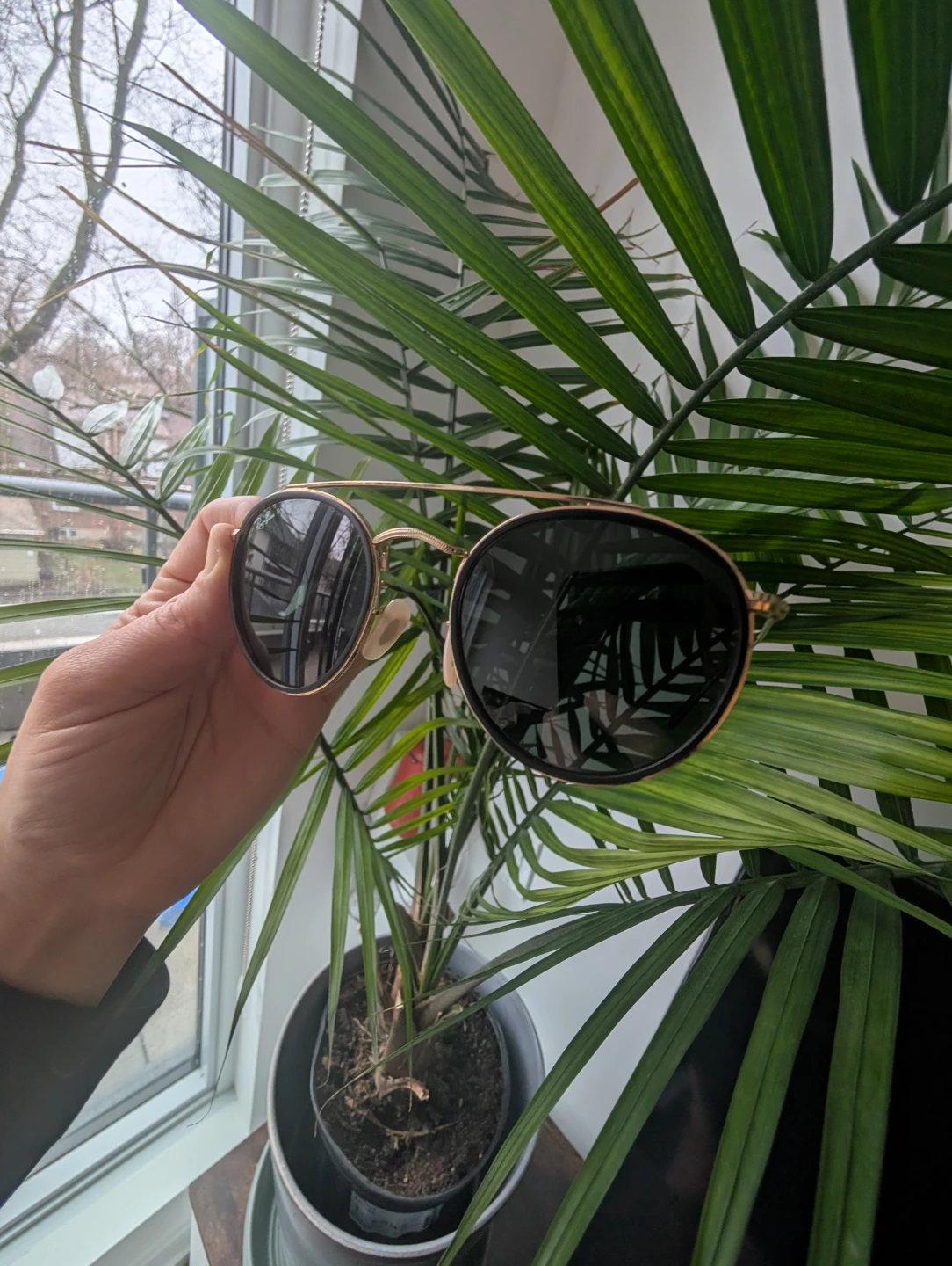 Ray-Ban Sunglasses