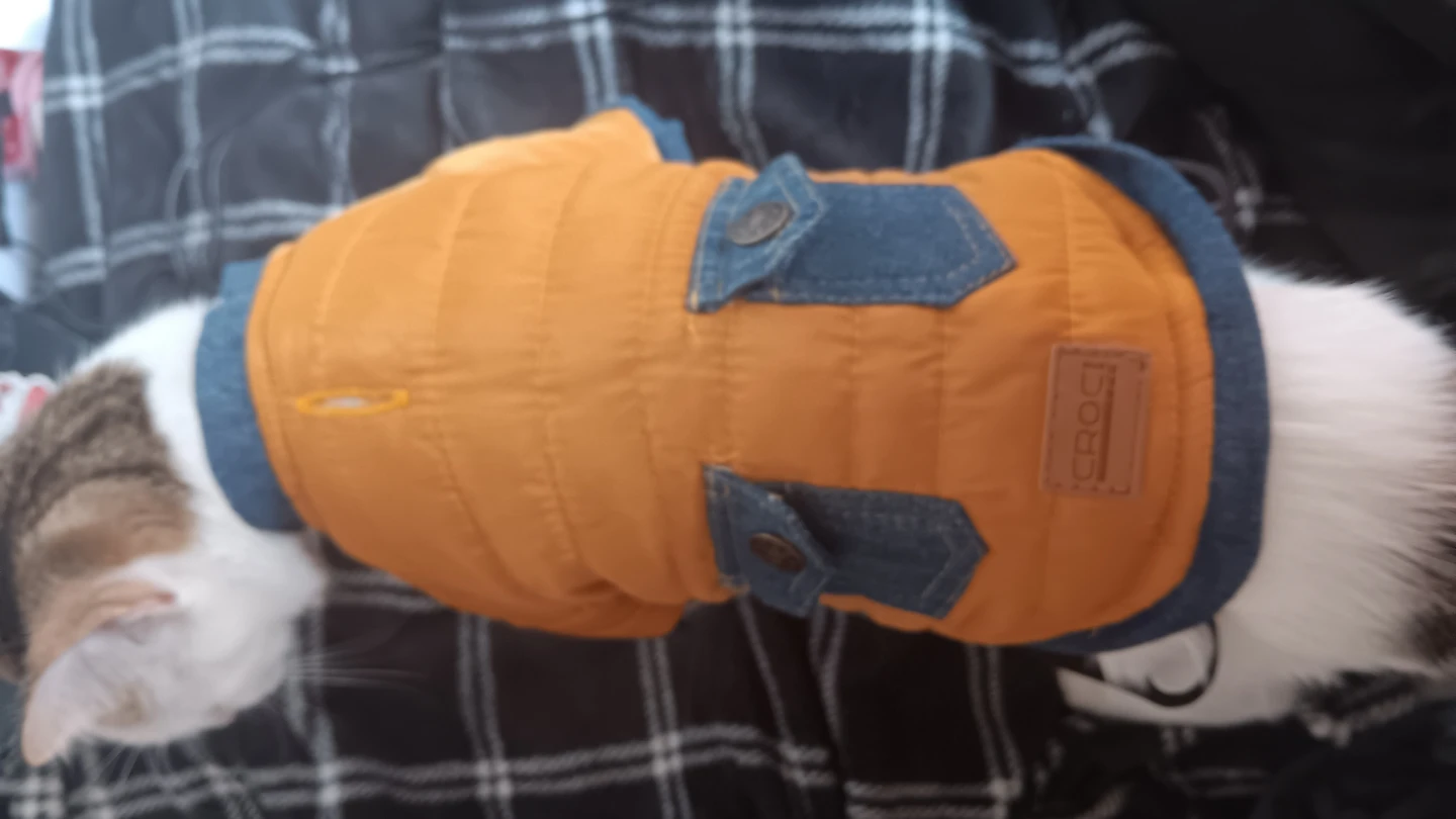 CROCI Pet Jacket - Orange and Blue - photo 4