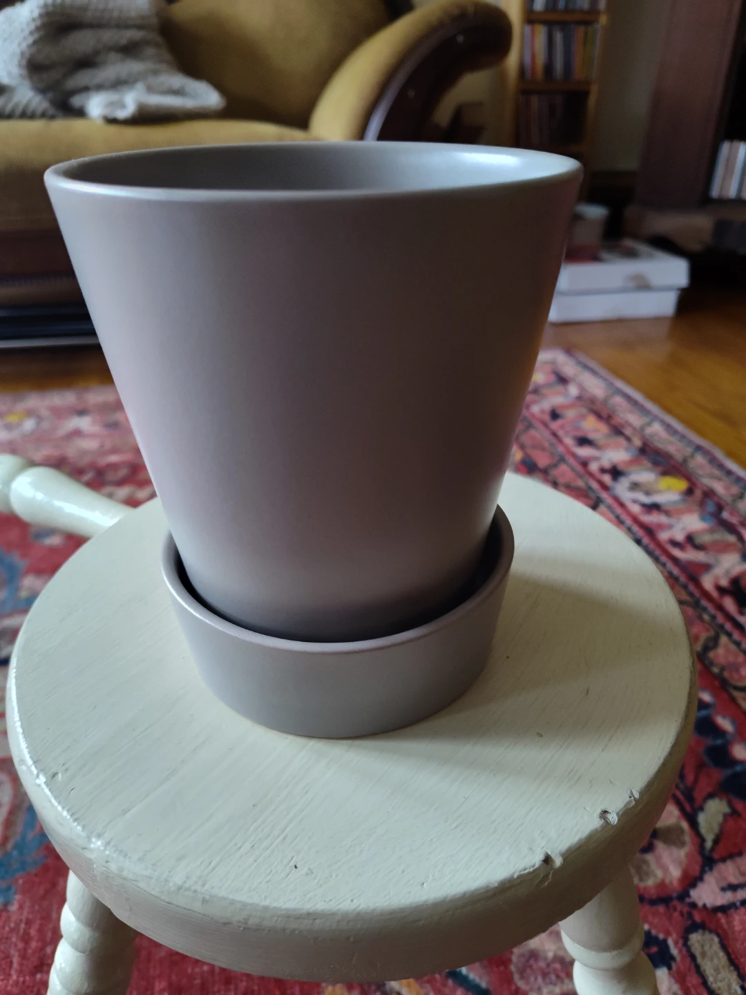 Wild Interiors Pot with Saucer