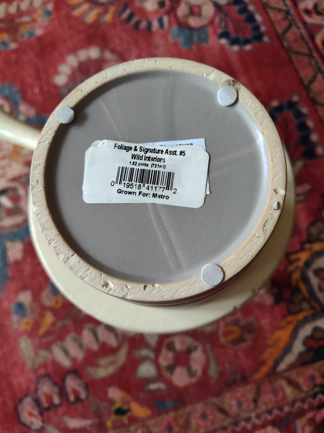 Wild Interiors Pot with Saucer - photo 3