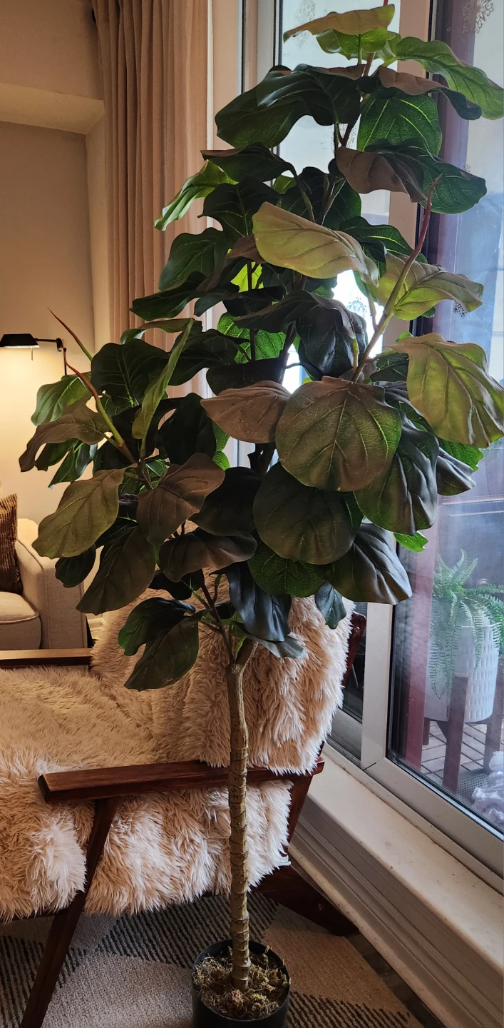 Artificial Fiddle Leaf Fig Tree - photo 2
