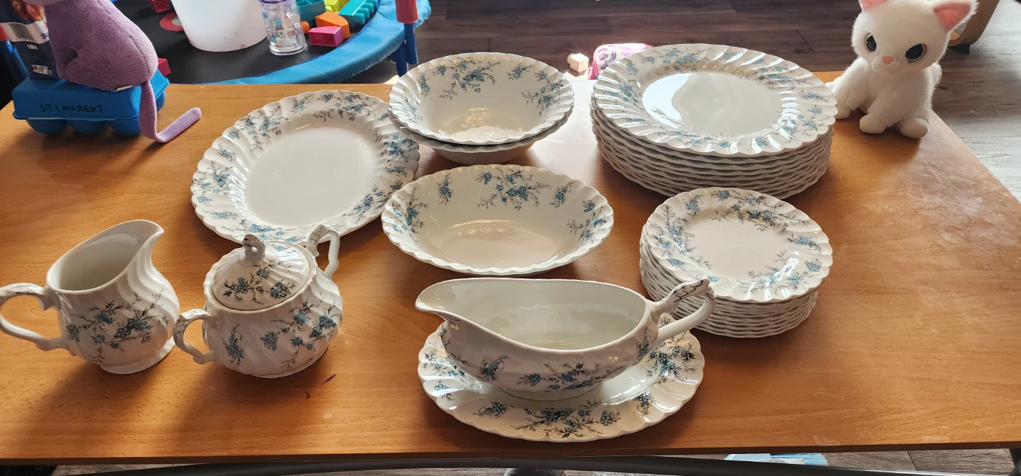 "Sound of Music" pattern China set