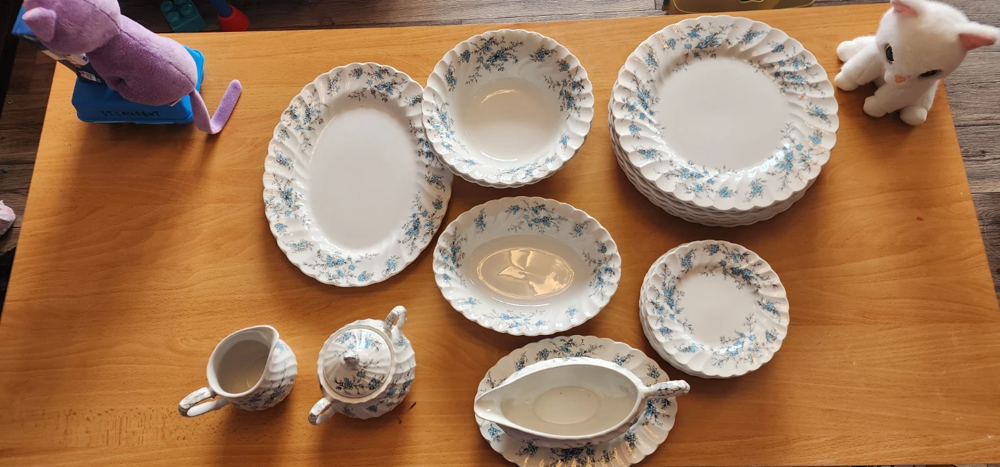 "Sound of Music" pattern China set - photo 2