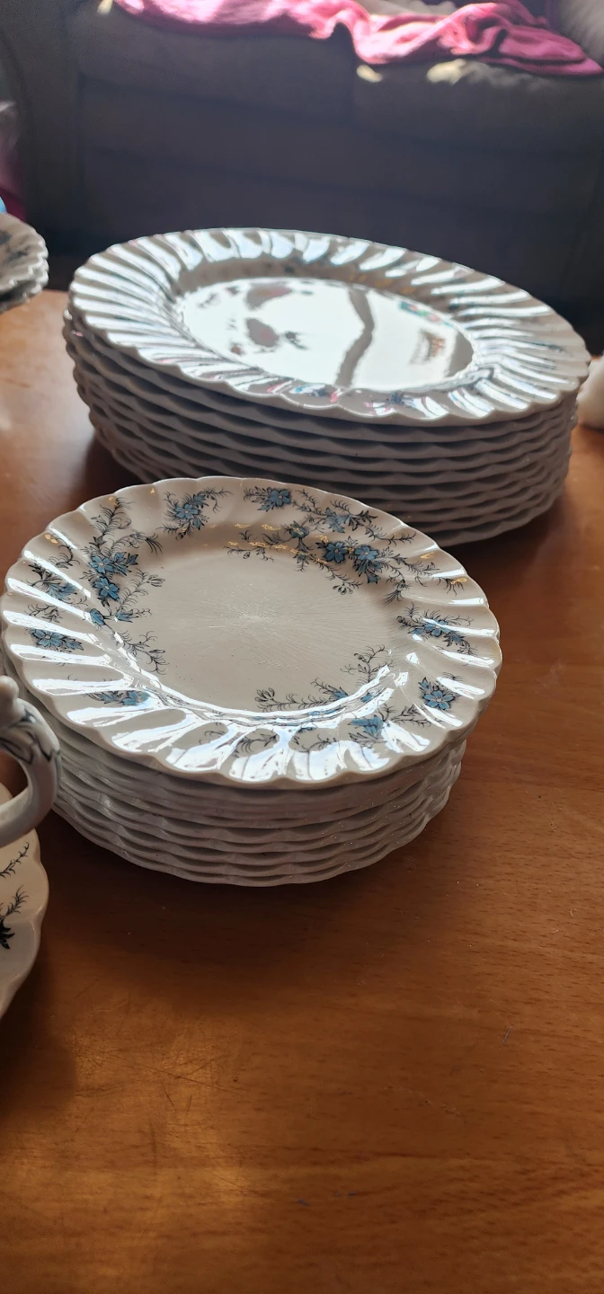 "Sound of Music" pattern China set - photo 5