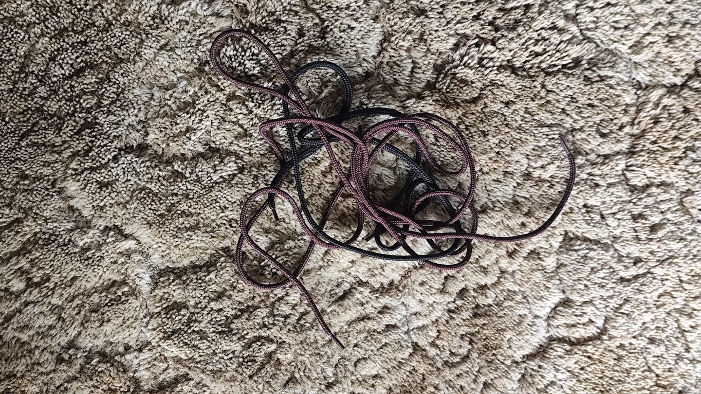 Pair of Black and Burgundy Shoelaces