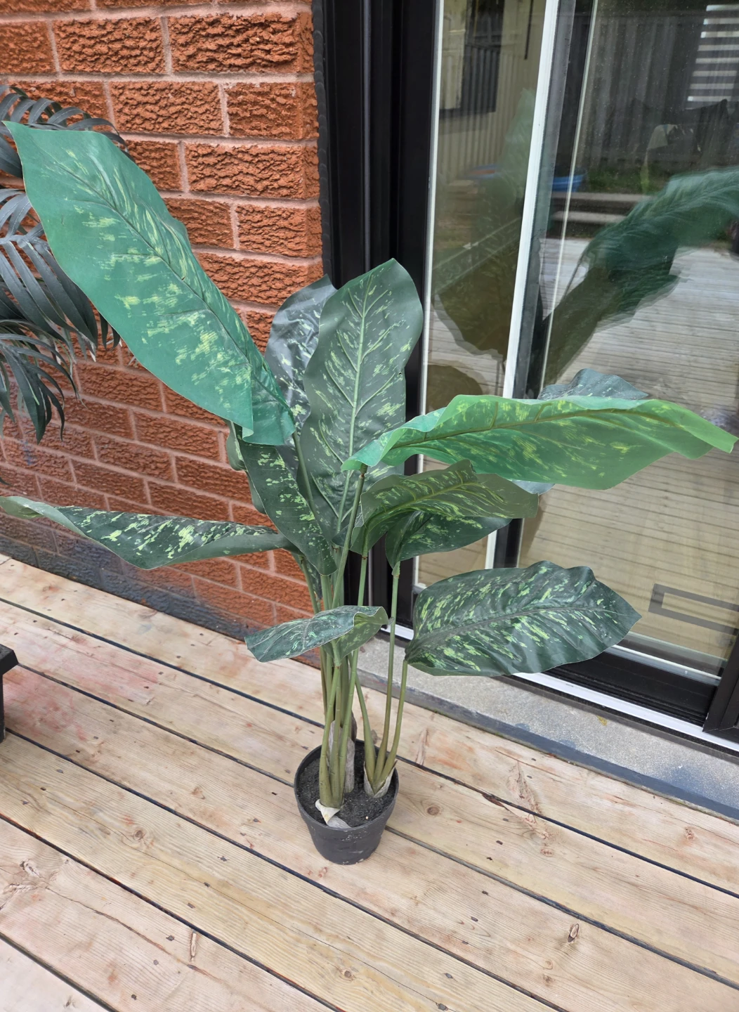 Artificial Dieffenbachia Plant