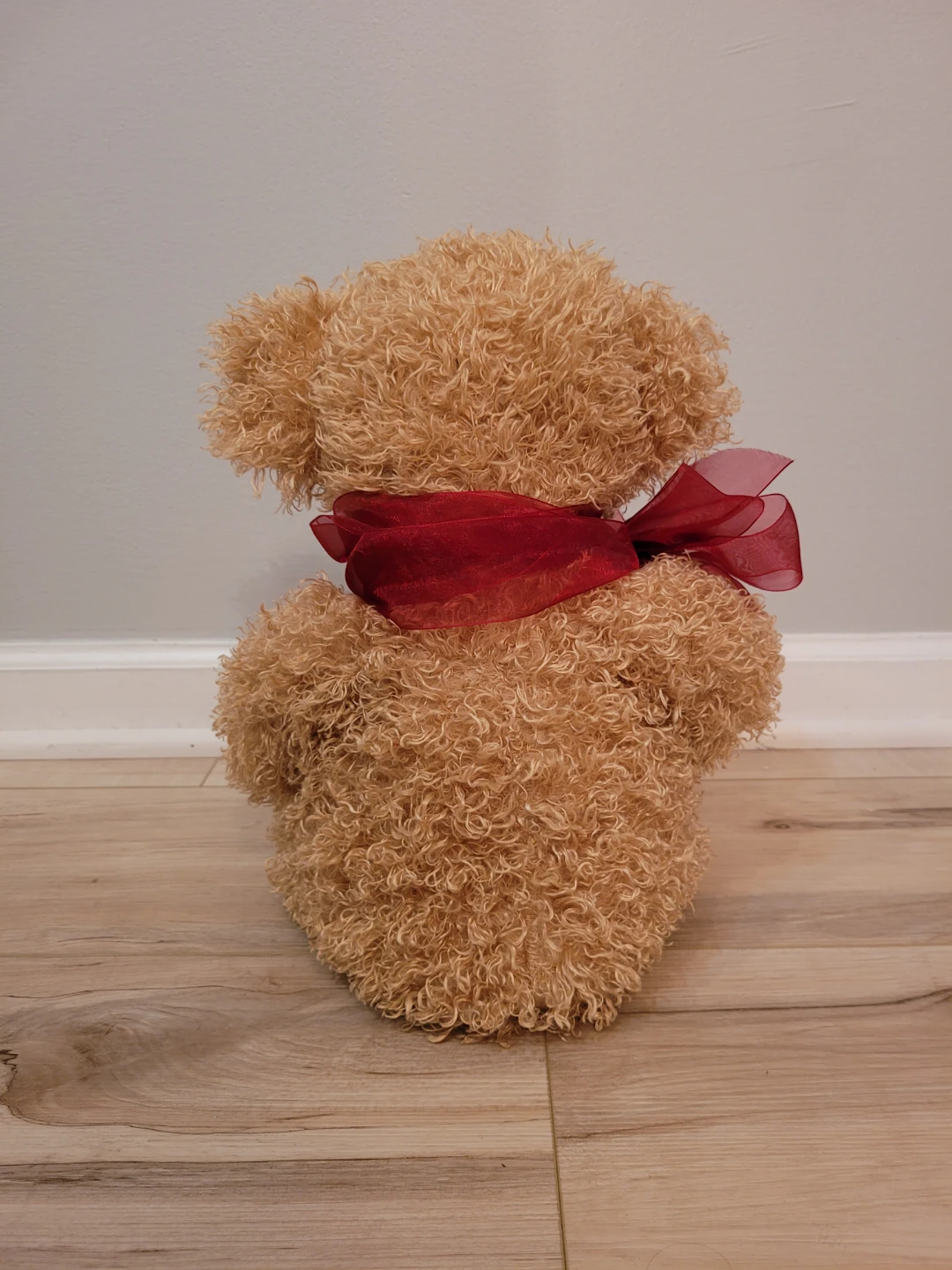 Plush Teddy Bear with "XOXO" Heart - photo 3