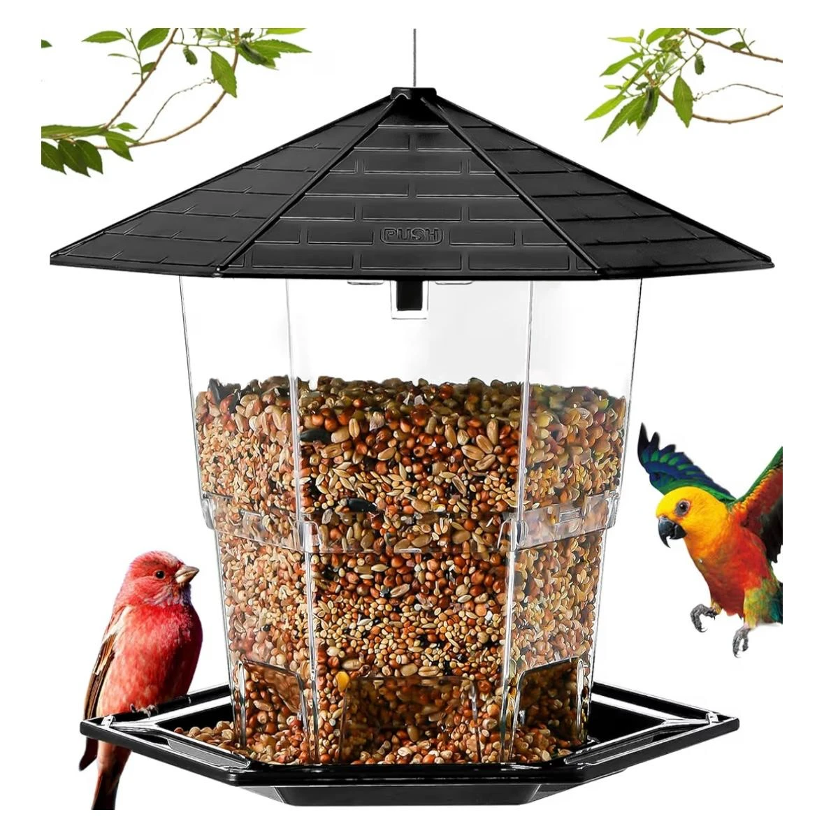 Bird Feeder