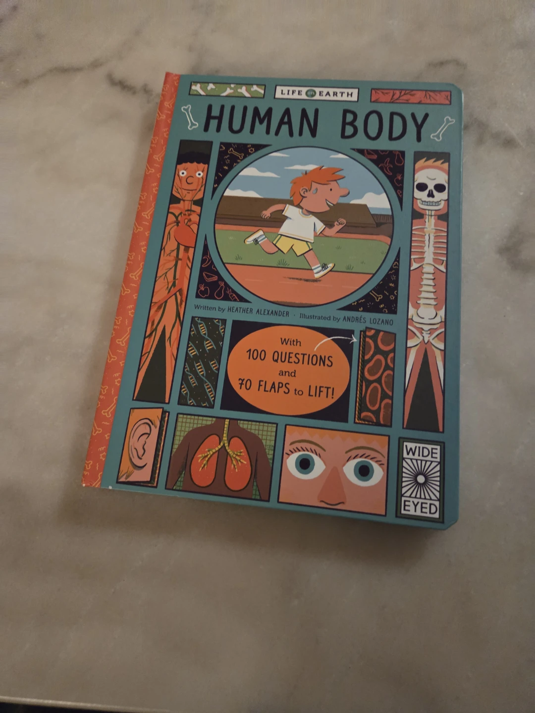 Life on Earth Human Body Lift-the-Flap Book