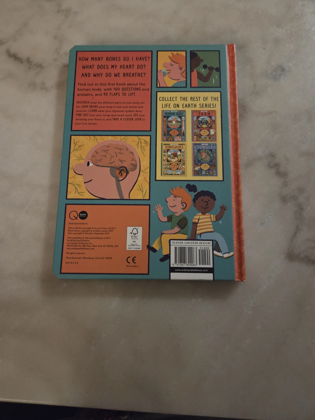 Life on Earth Human Body Lift-the-Flap Book - photo 2