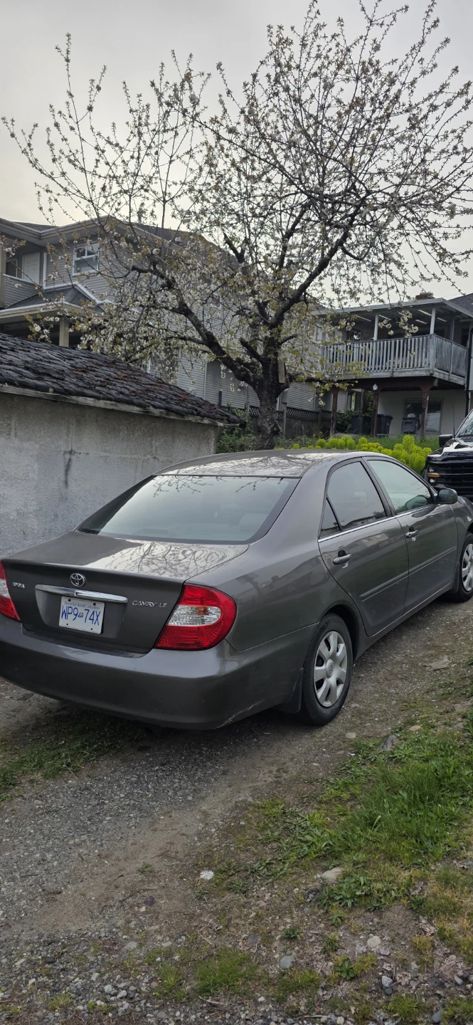 Grey Toyota Camry LE Sedan