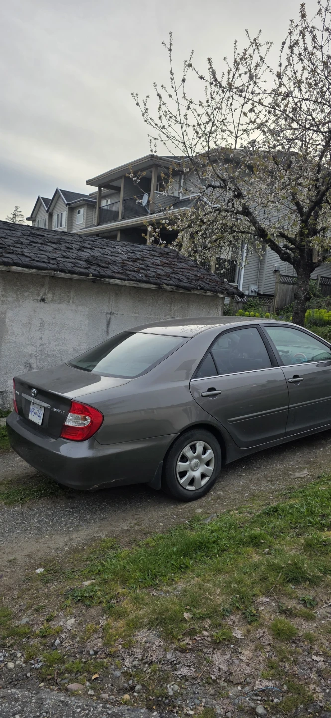 Grey Toyota Camry LE Sedan - photo 2