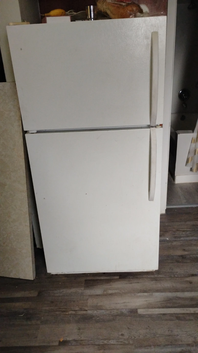 Electrolux FRT14B4AW2 Refrigerator