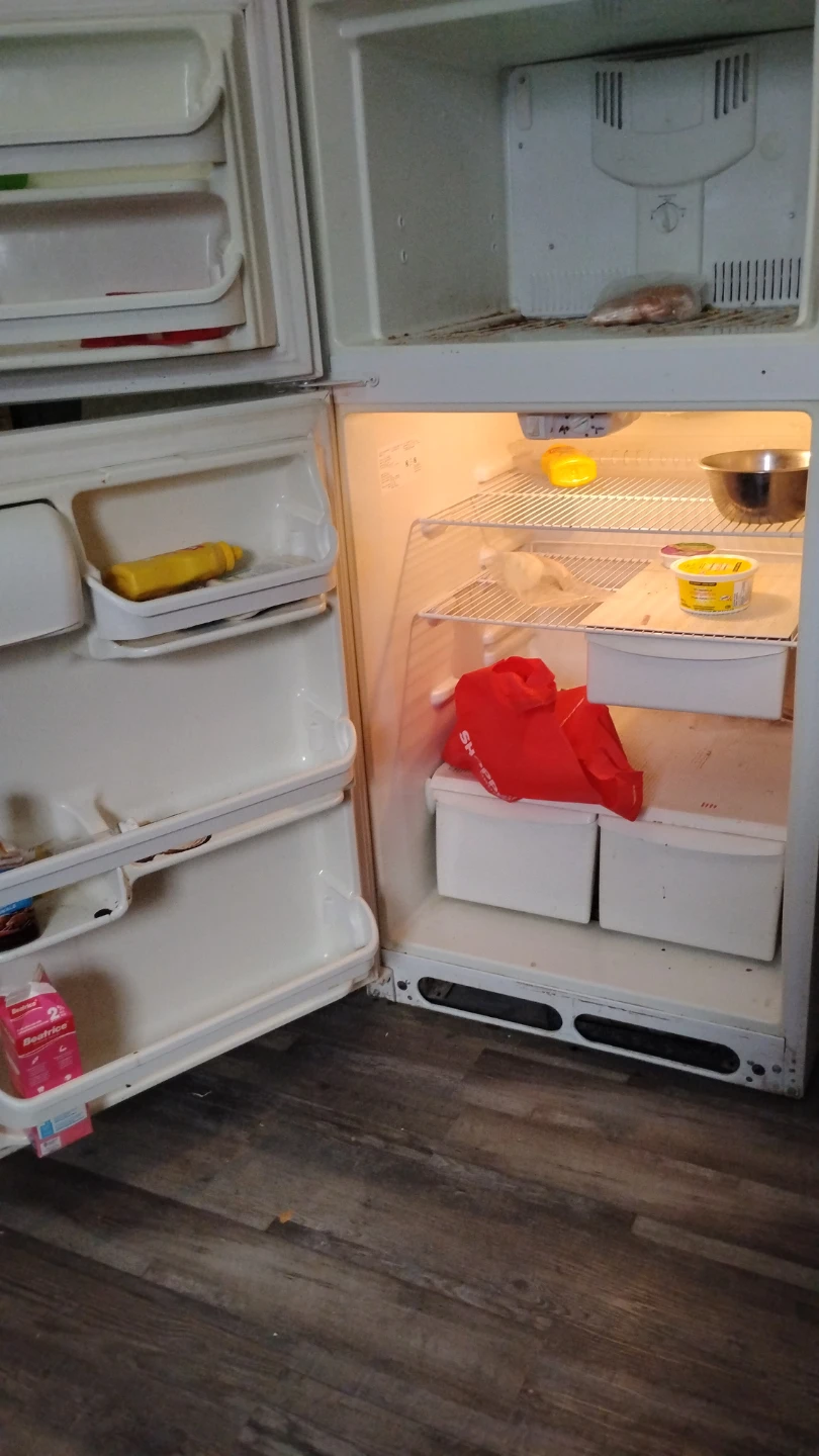 Electrolux FRT14B4AW2 Refrigerator - photo 3
