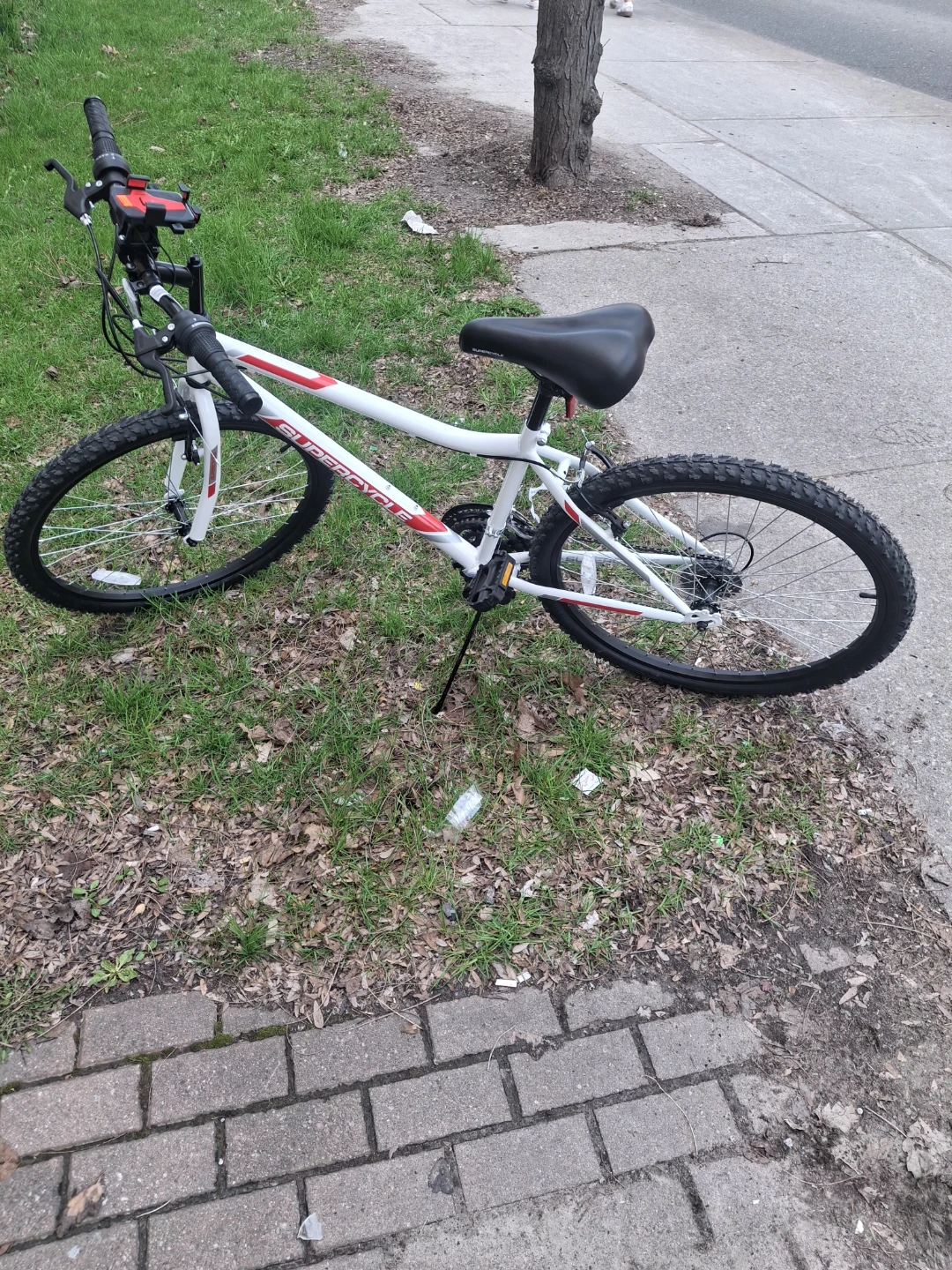 Supercycle Mountain Bike