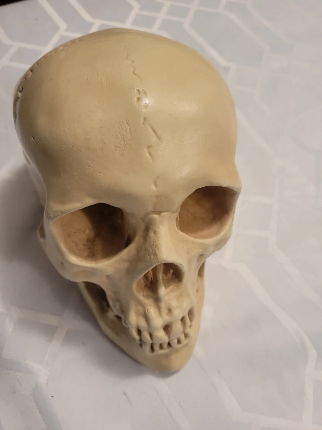 Jackie O's "Nights" Skull Replica
