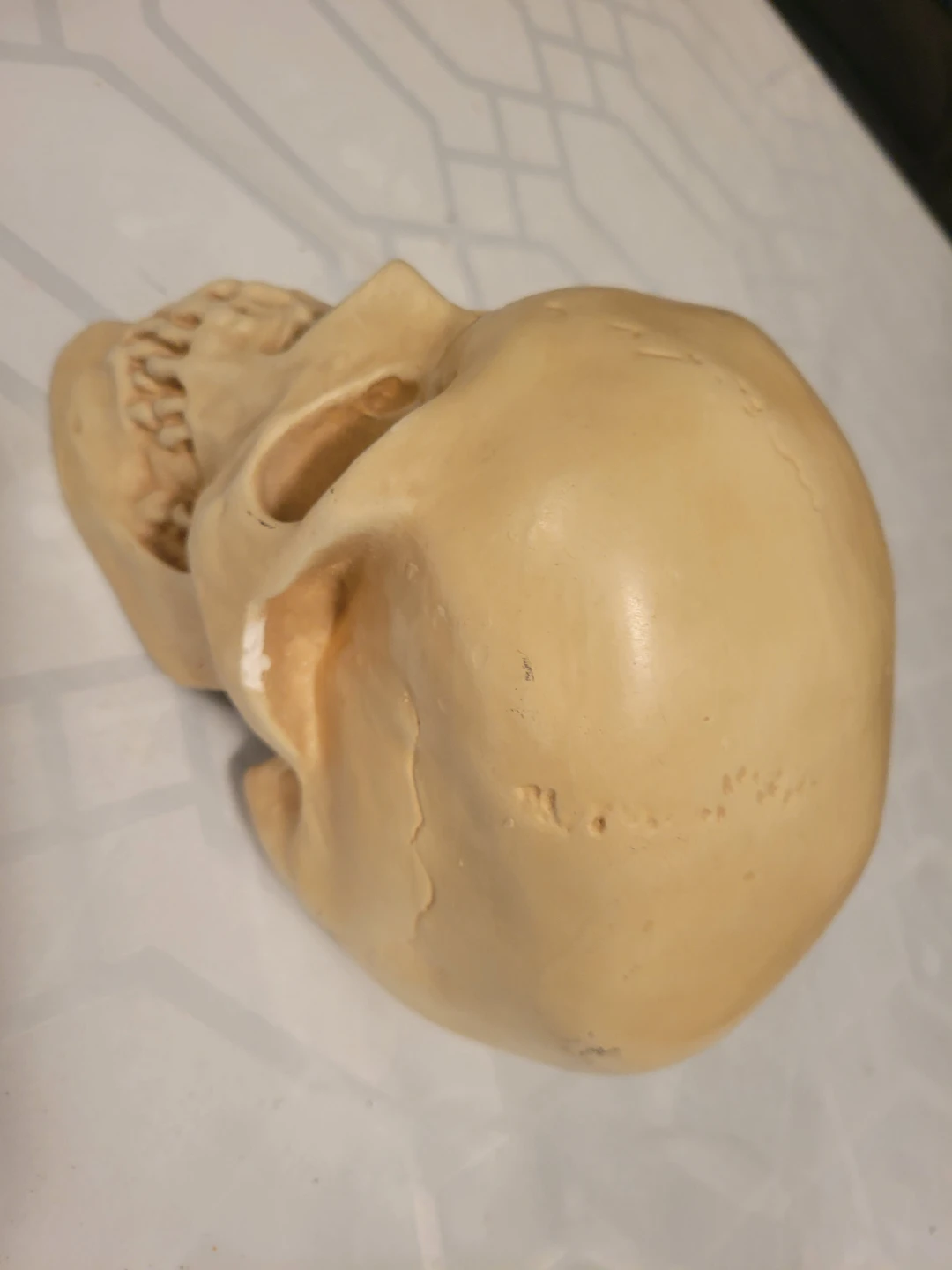 Jackie O's "Nights" Skull Replica - photo 4