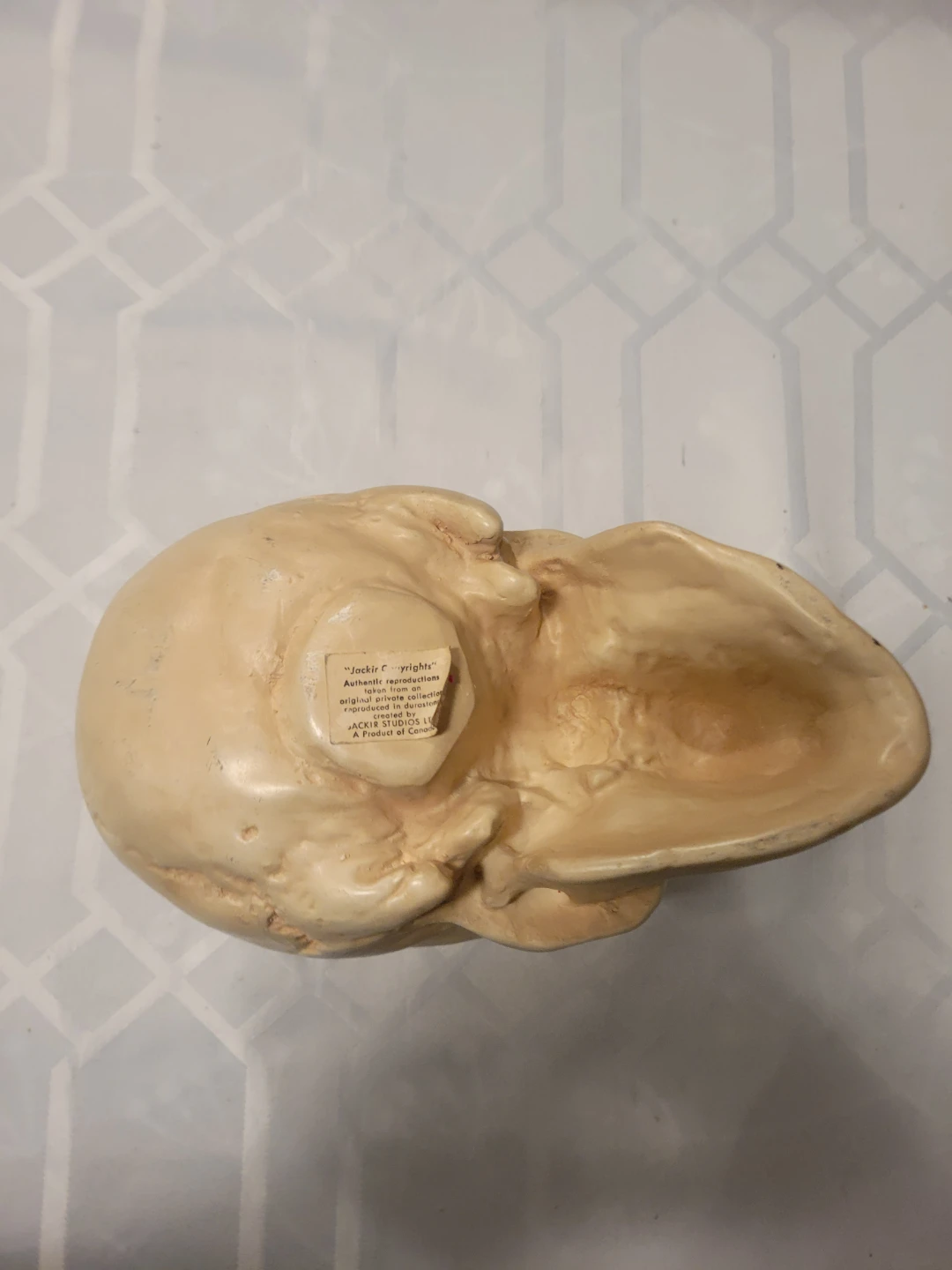 Jackie O's "Nights" Skull Replica - photo 5