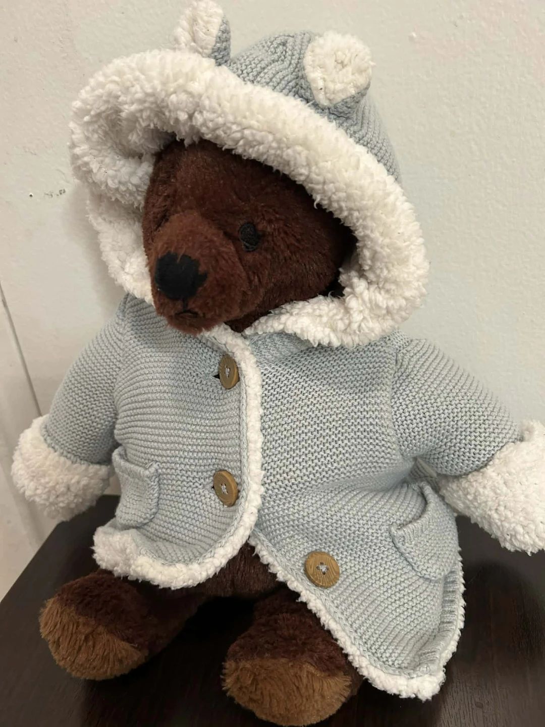 Teddy Bear with Blue Knitted Coat and Hood