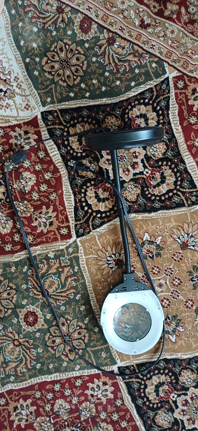 Globe Electric Magnifying Lamp with Light
