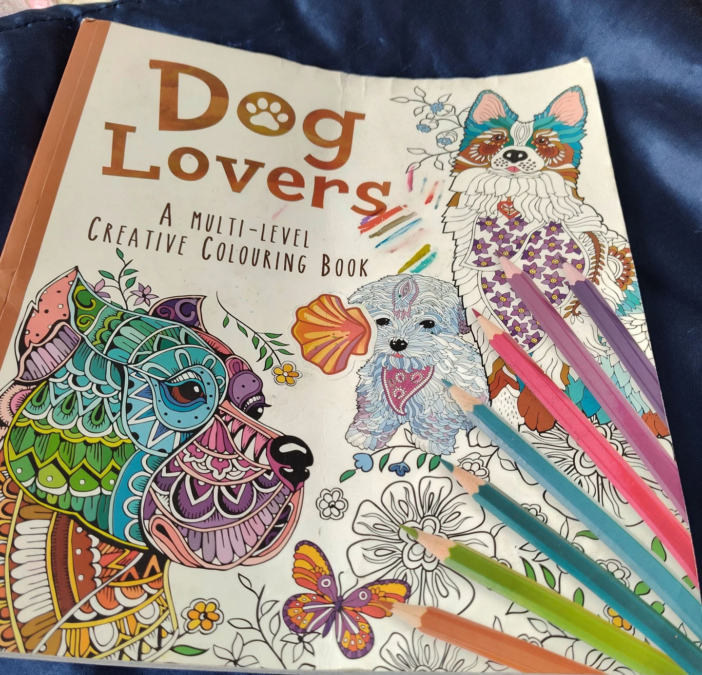 Dog Lovers A Multi-Level Creative Colouring Book🌱