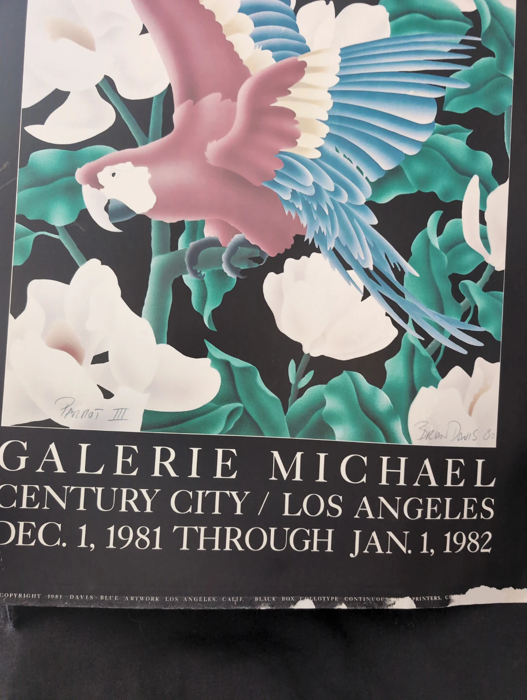 Brian Davis Parrot III Art Print Galerie Michael 1981 - photo 4