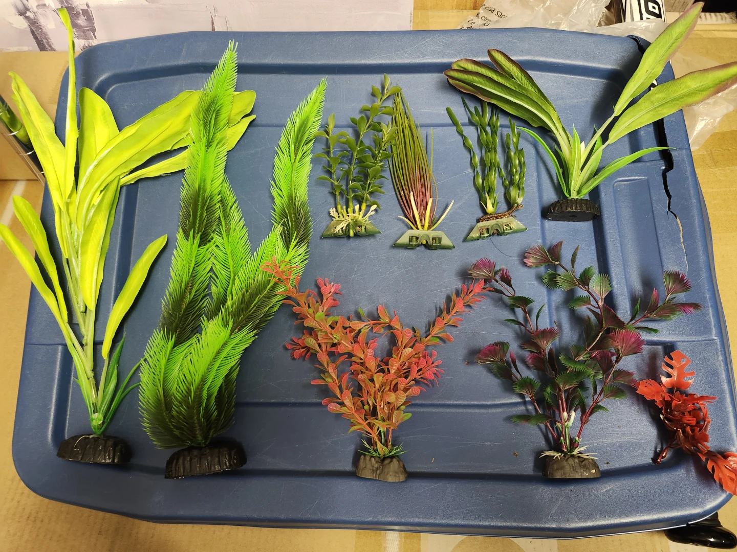 Assorted Aquarium Plants 8 pcs - photo 3