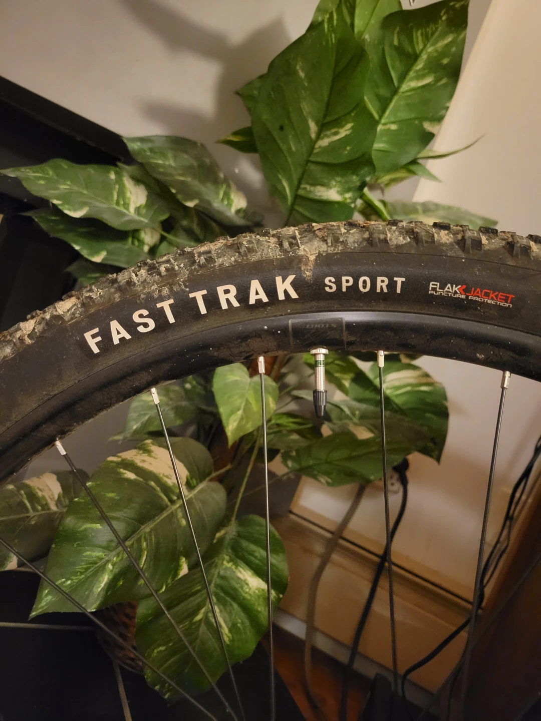 Specialized Rockhopper Comp 2025 - photo 5