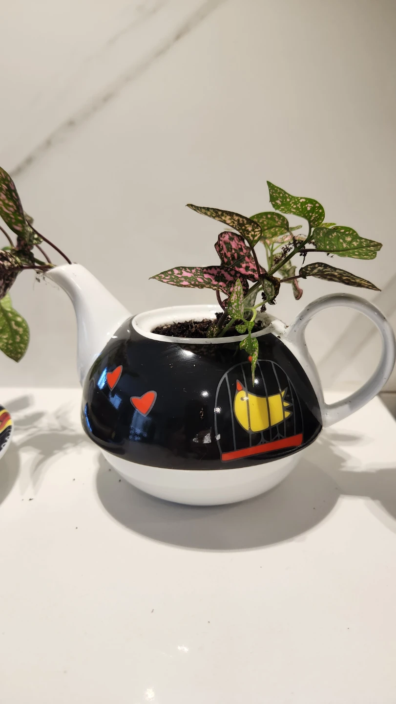 Upcycled cat tea set planter with plants - photo 3