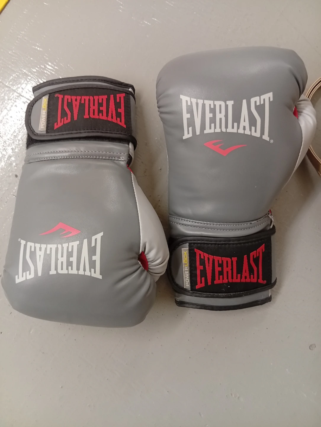 Everlast Boxing Gloves