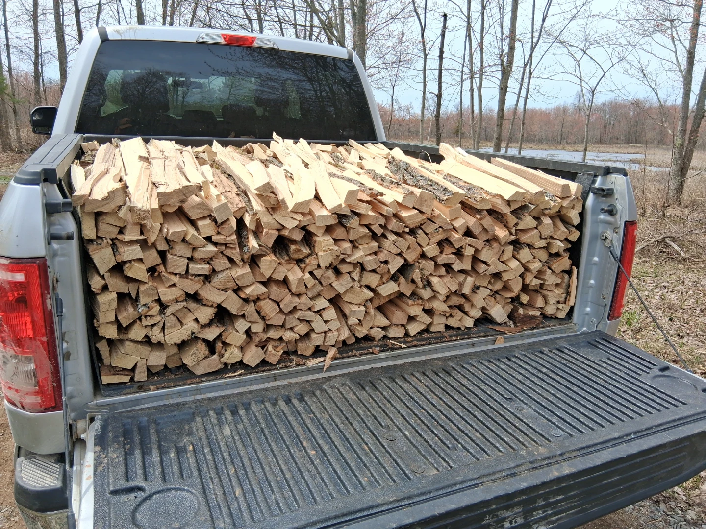 Firewood - campfire/bonfire/kindling - photo 3