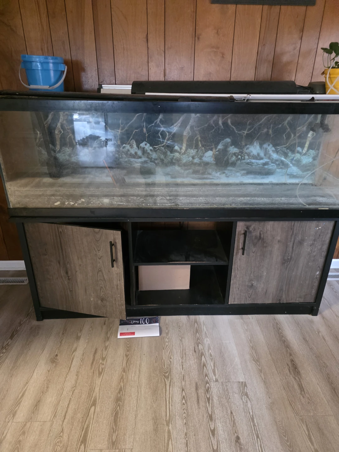 Large Aquarium Tank with Cabinet Stand