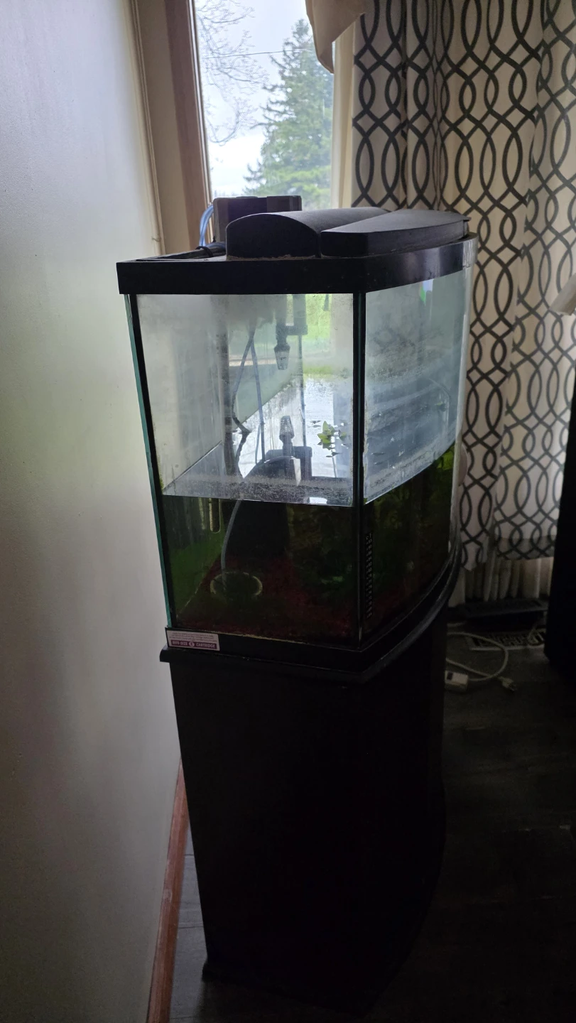Curved Corner Aquarium with Stand