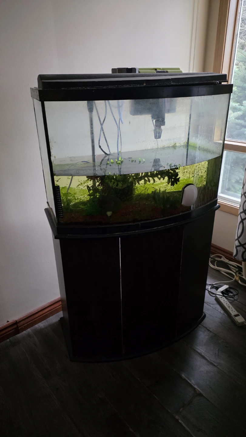 Curved Corner Aquarium with Stand - photo 3