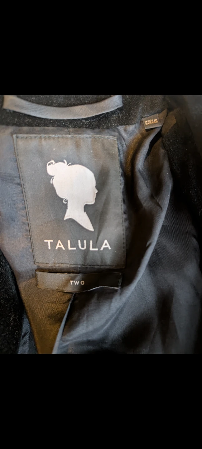 Aritzia Talula Black Velvet Blazer 2 - photo 2