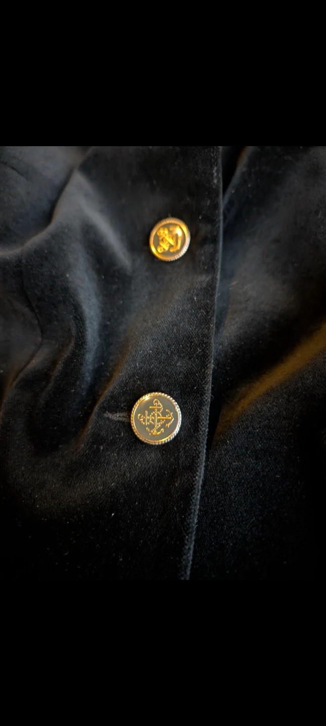 Aritzia Talula Black Velvet Blazer 2 - photo 5