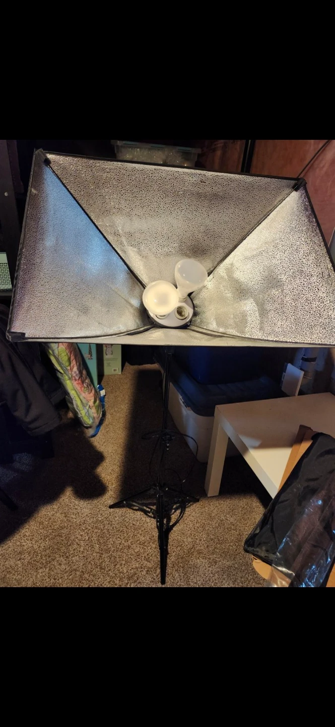 Photography Softbox Lighting Kit - photo 5