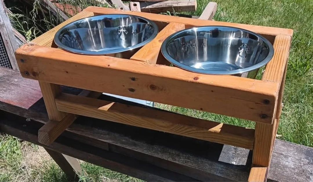 Raised Dog Feeder with Stainless Steel Bowls