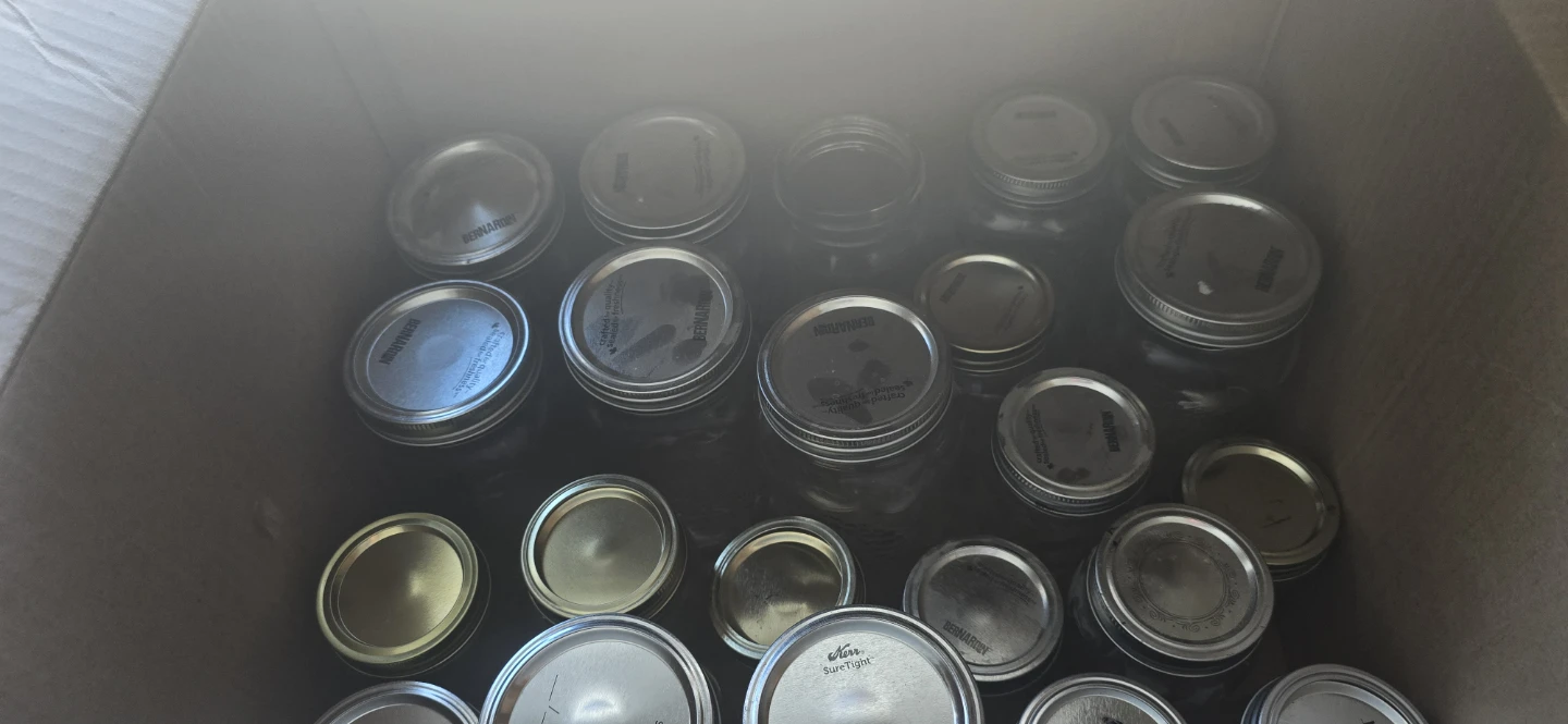 Mason Jars - mixed sizes