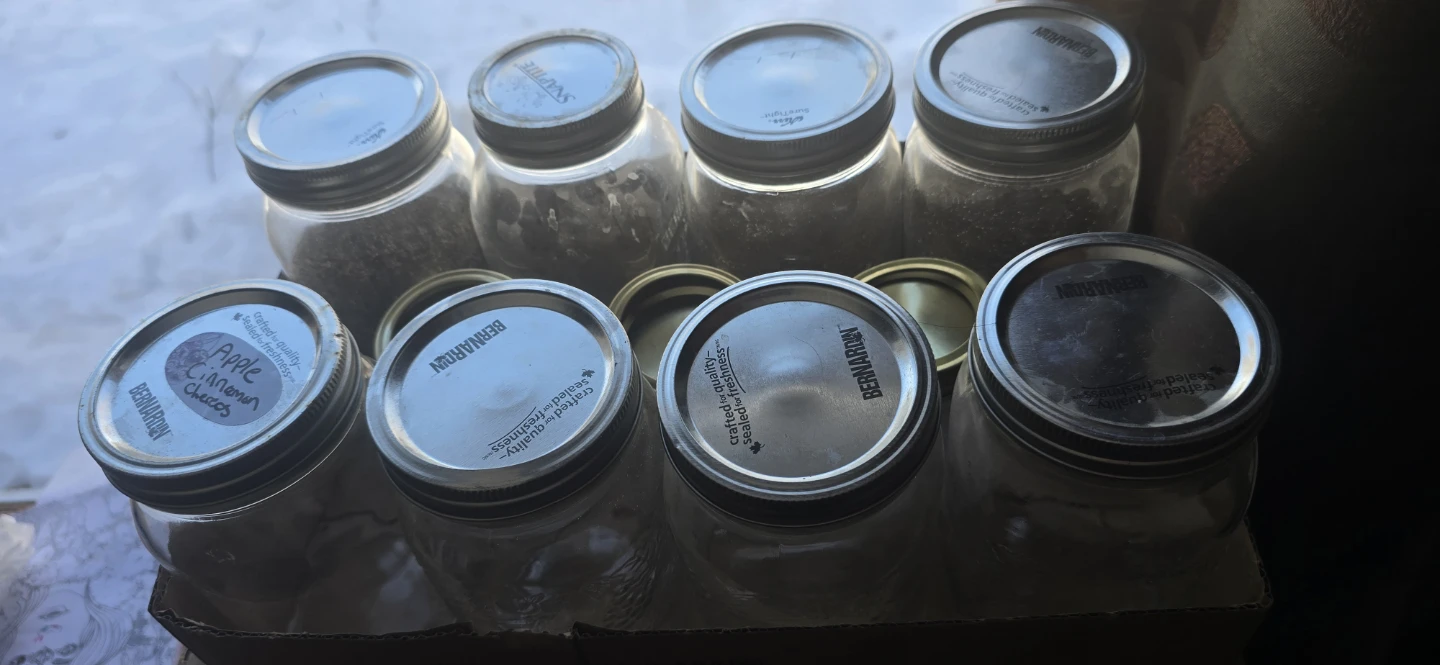 Mason Jars - mixed sizes - photo 2