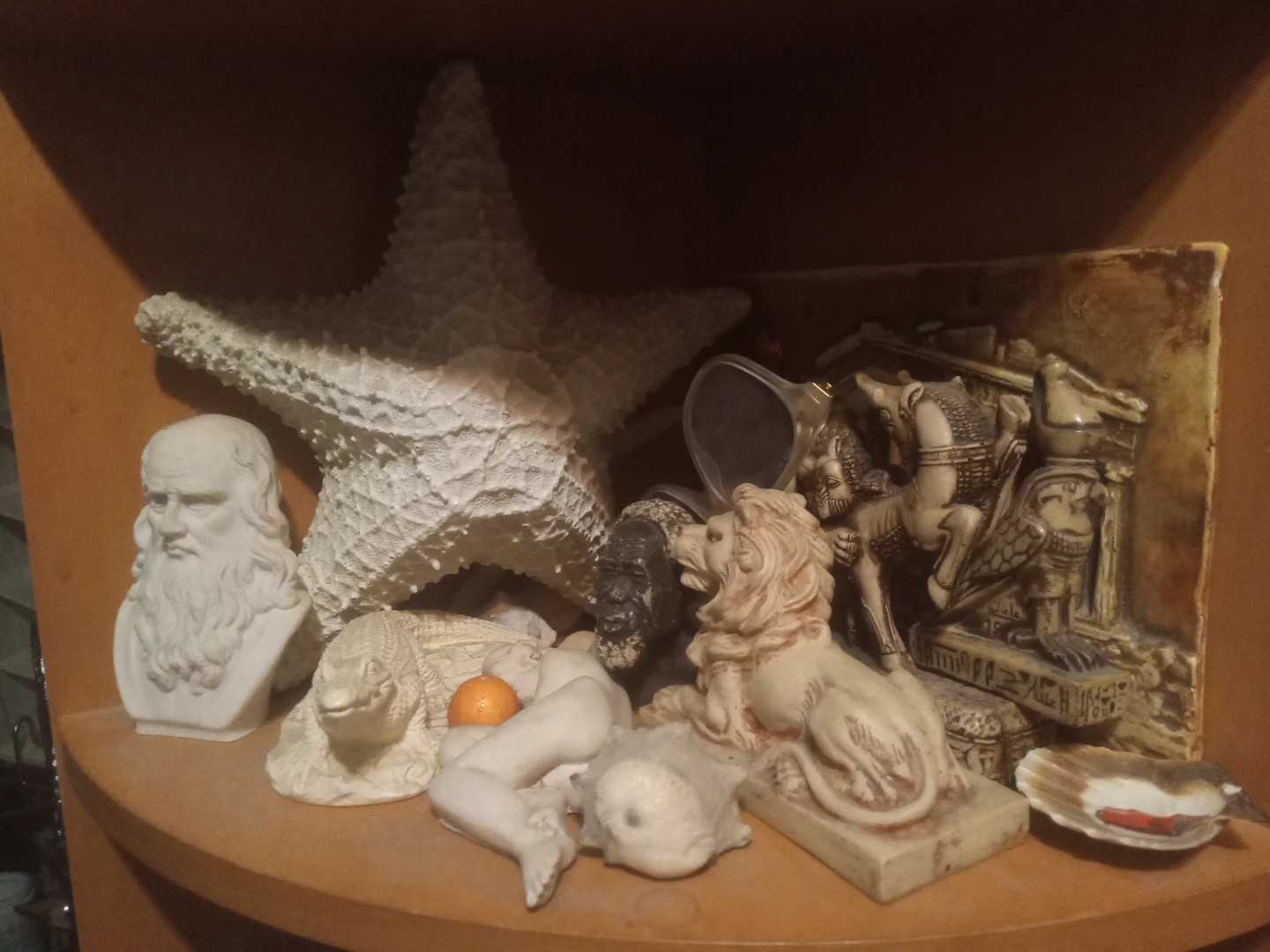 Assorted Decorative Figurines and Starfish