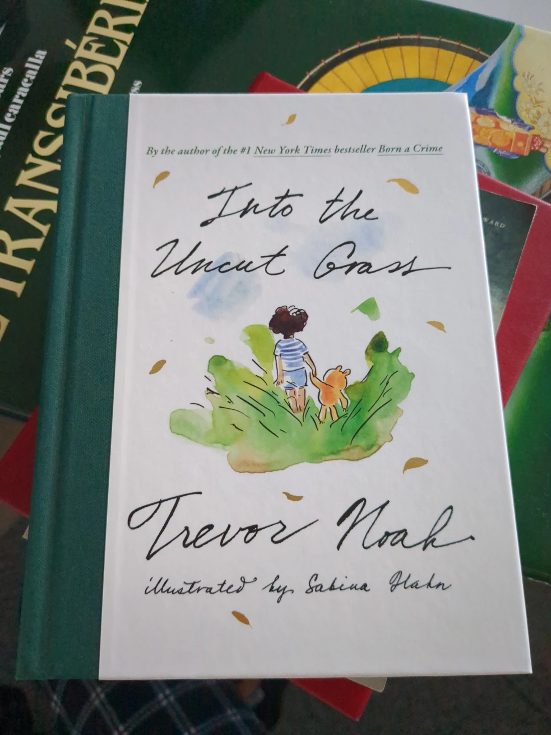 Into the Uncut Grass by Trevor Noah Illustrated Book