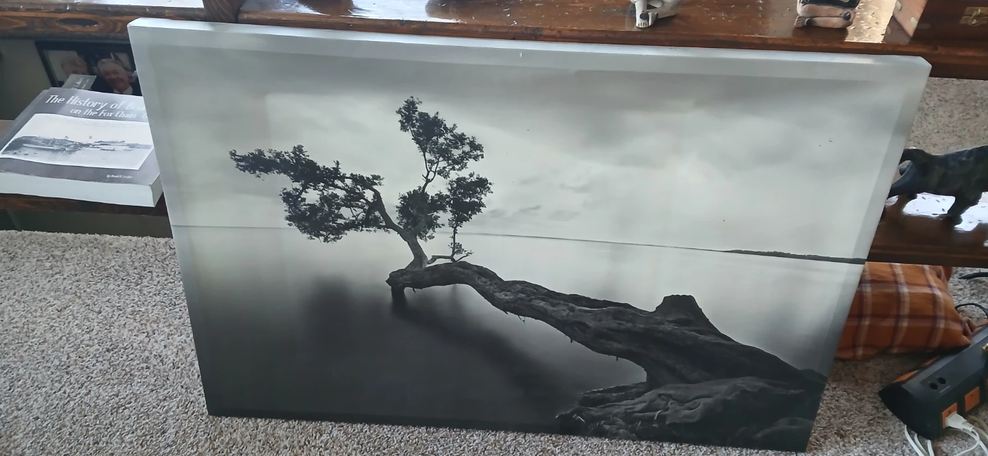 Black and White Tree Landscape Wall Art