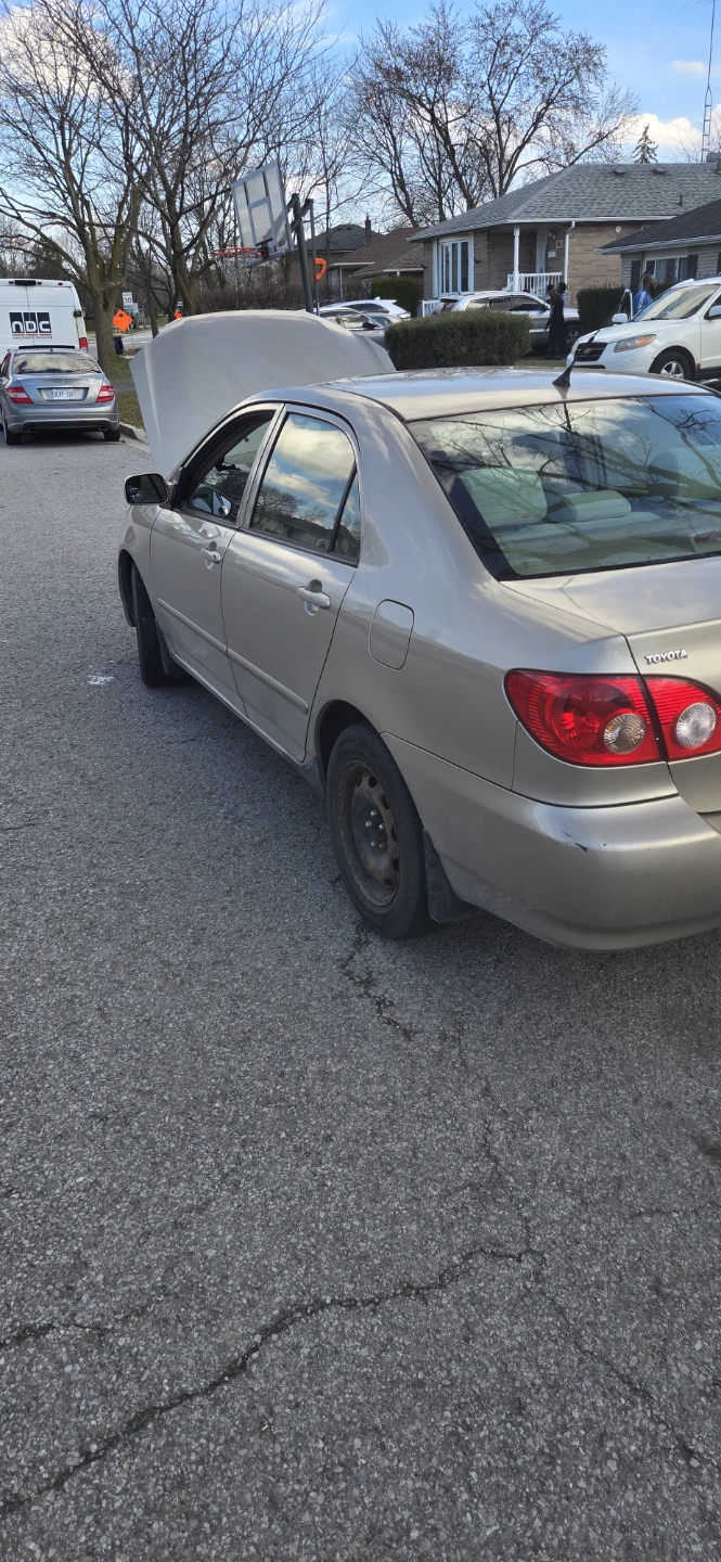 Gold Toyota Corolla Sedan