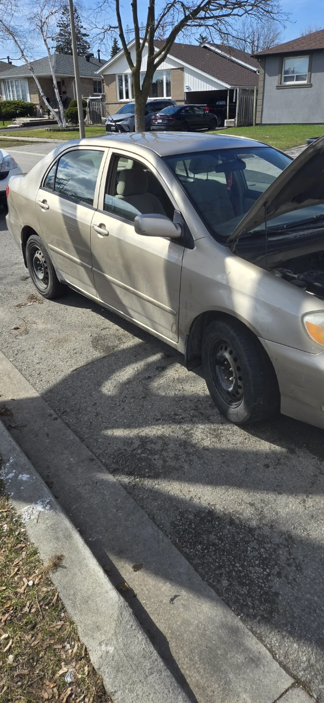 Gold Toyota Corolla Sedan - photo 2