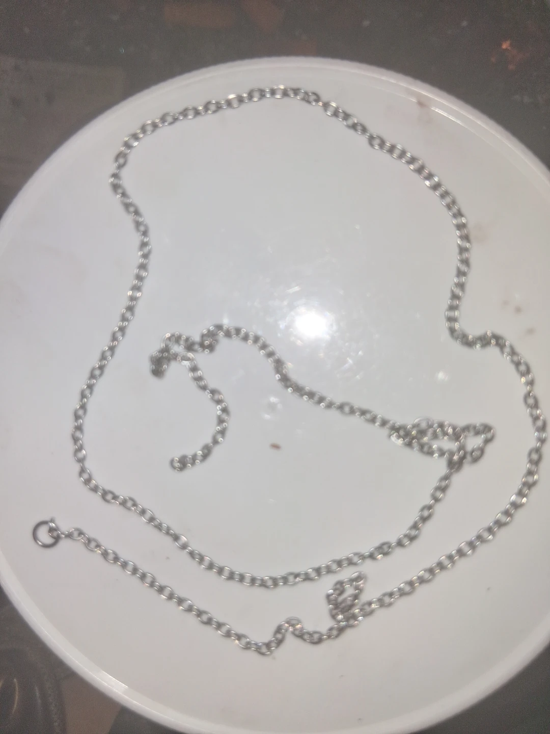 Silvery Long Thin Chain Necklace
