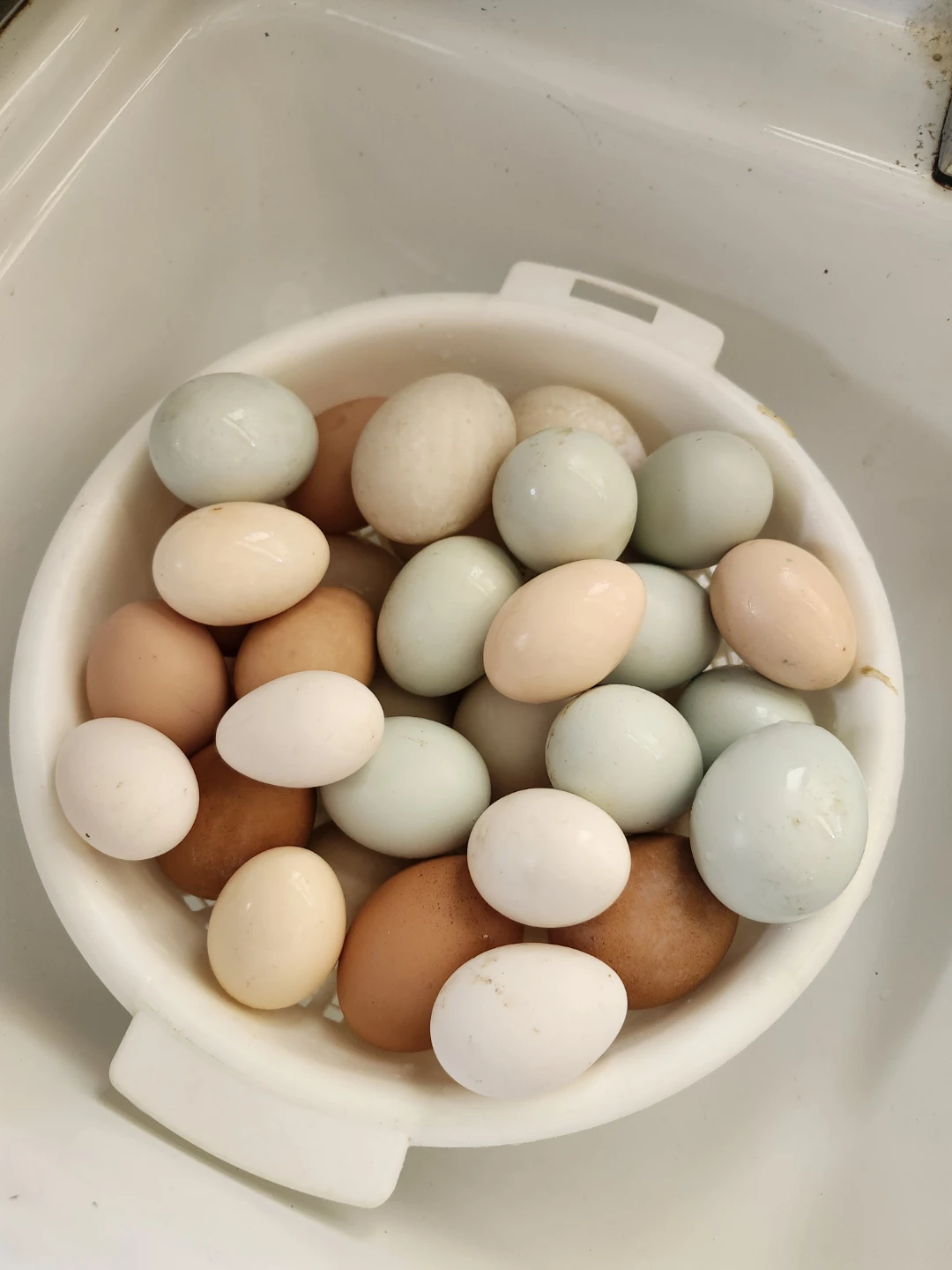 Eggs