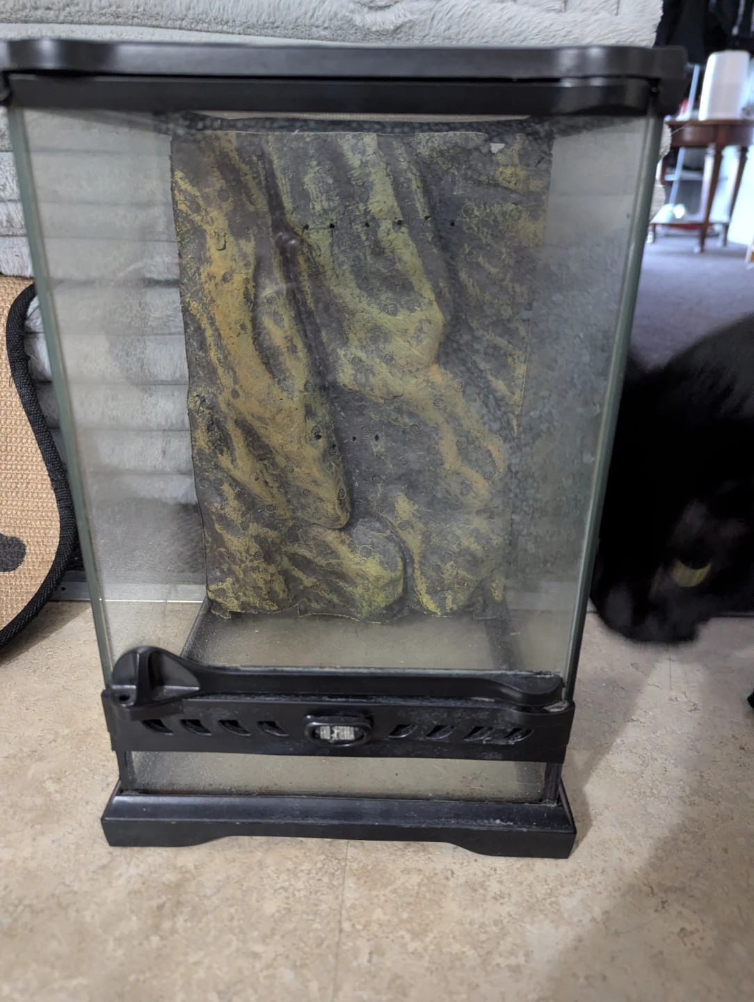Glass Terrarium with Rock Background