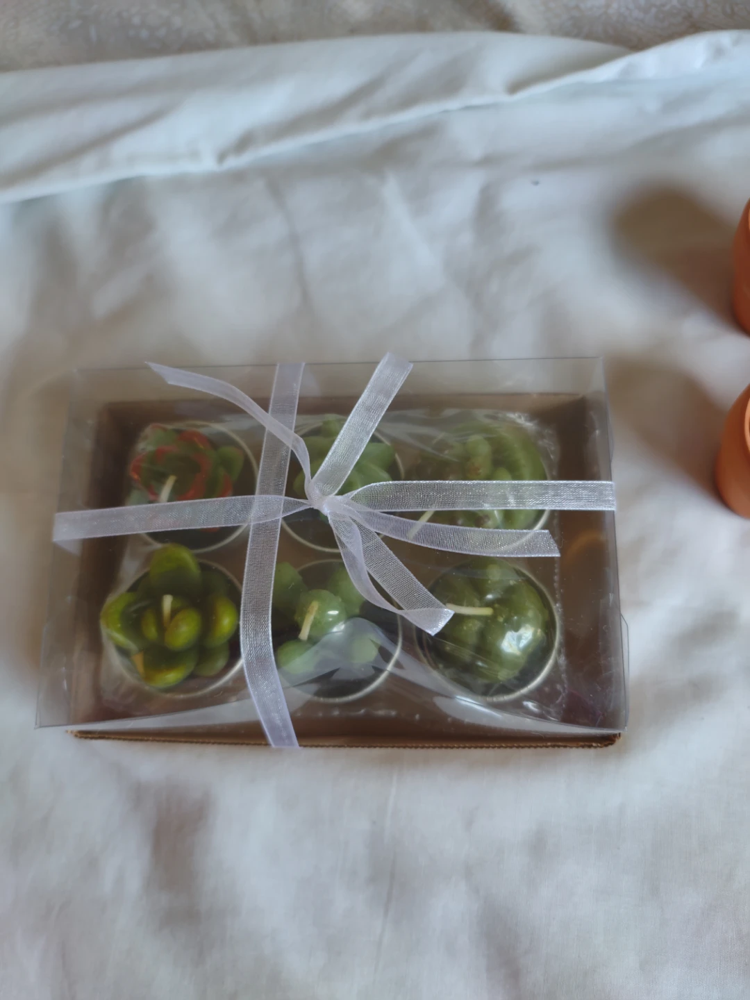 Succulent candles with flower pots